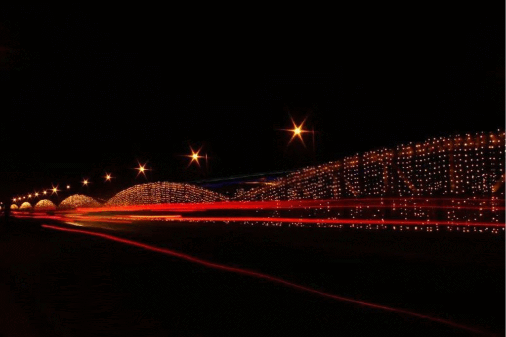 AHMEDABAD MUNICIPAL CORPORATION – RGBW Lighting at Ellis Bridge