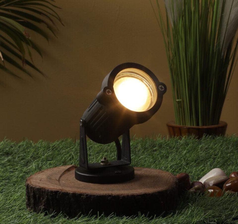 Spot Light
